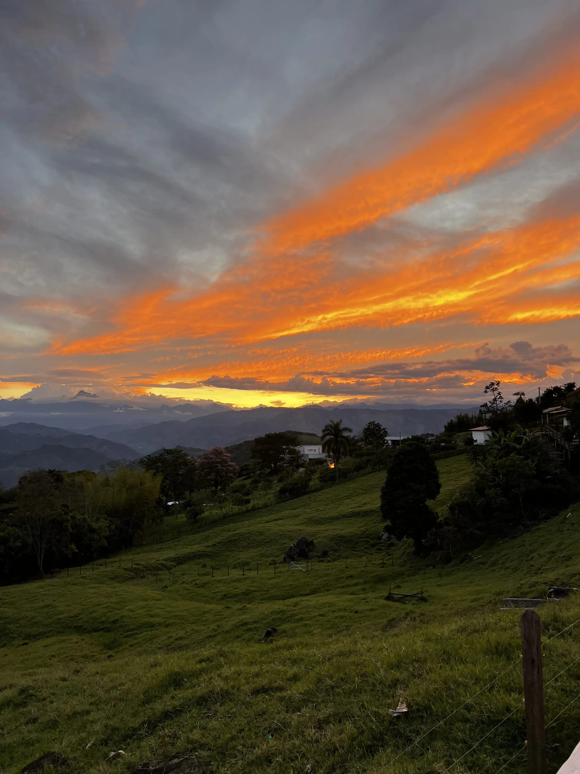 Golden Twilight
