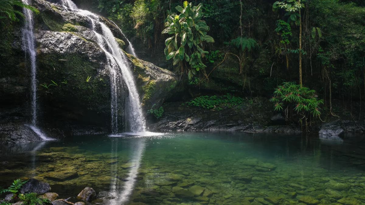 Majestuosa cascada natural cayendo entre rocas y helechos hacia un charco de aguas cristalinas esmeralda en Antioquia