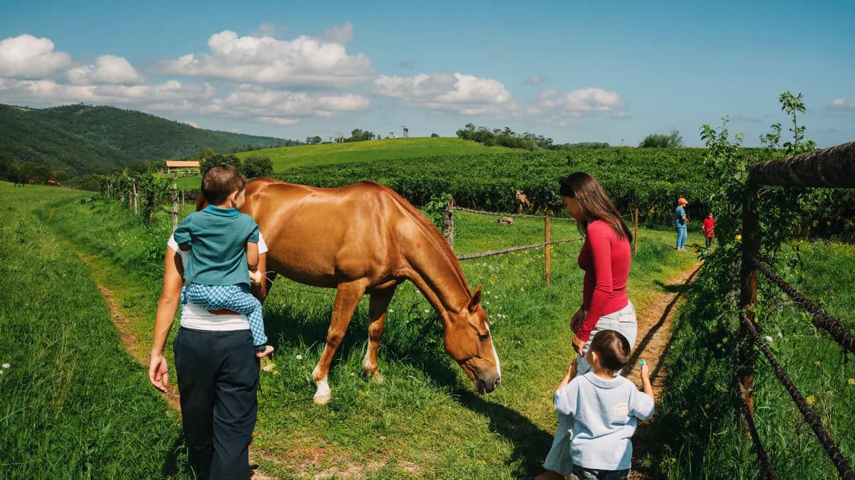 Padres y niños explorando una granja ecológica y senderos campestres con caballos en Antioquia